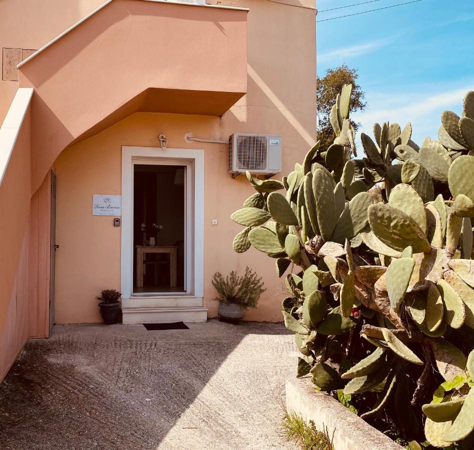 Rosa Bianca Apartment Kanali  Bagian luar foto